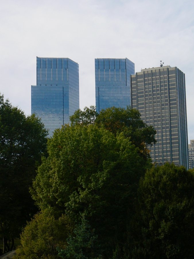 Central Park: Central Park 184